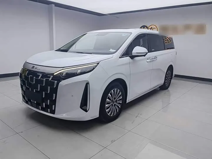 BYD M9 2025 из Китая — купить под ключ