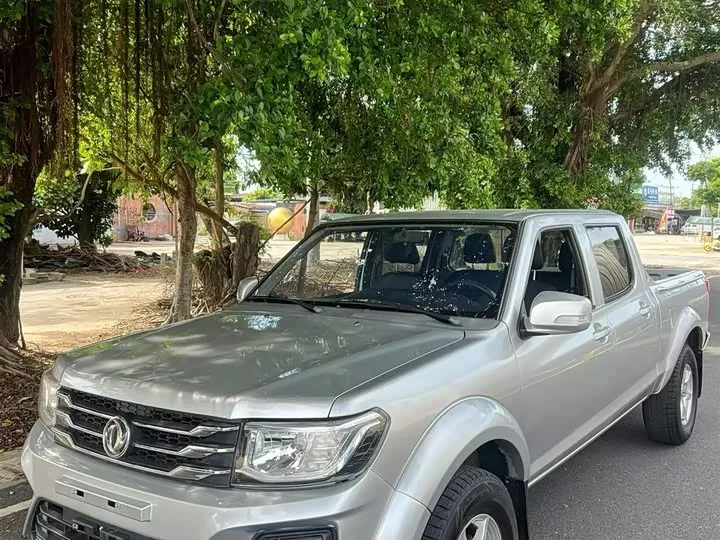 Dongfeng Rich 2022 из Китая — купить под ключ