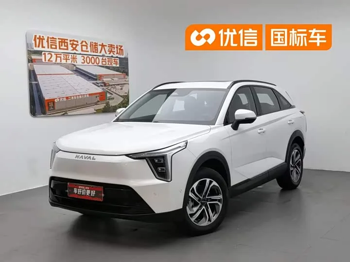 Haval Ruge 2023 из Китая — купить под ключ