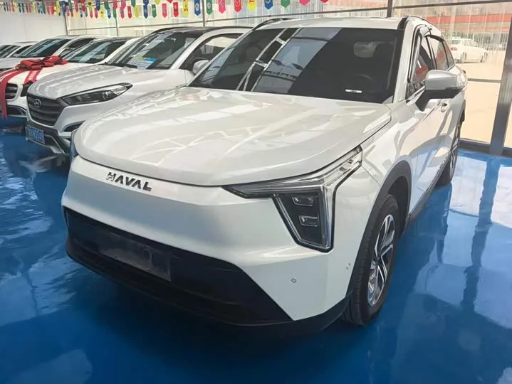 Haval Ruge 2024 из Китая — купить под ключ