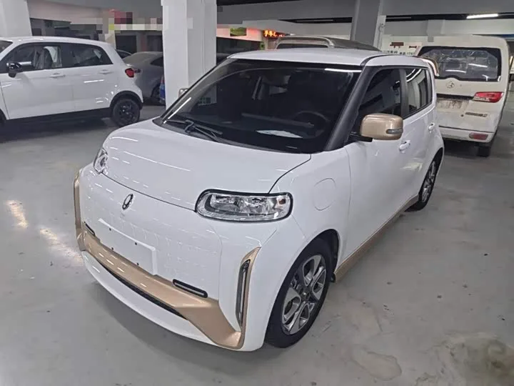 Ora White Cat 2022 из Китая — купить под ключ