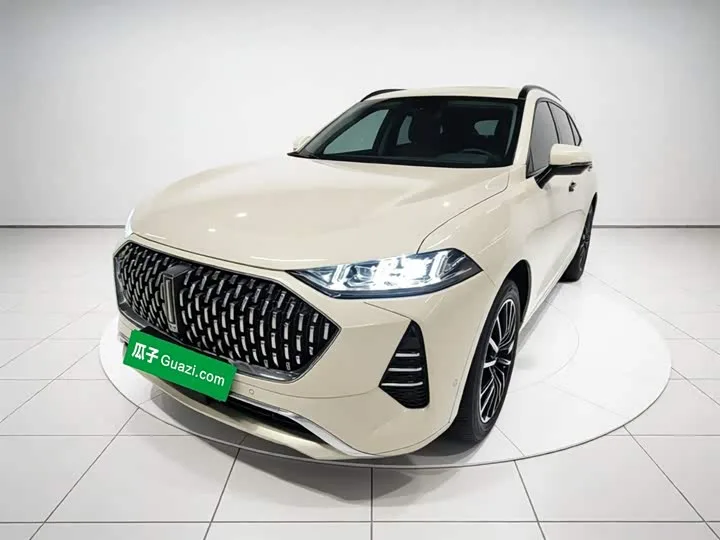 Wey Mocca Hybrid 2022 из Китая — купить под ключ