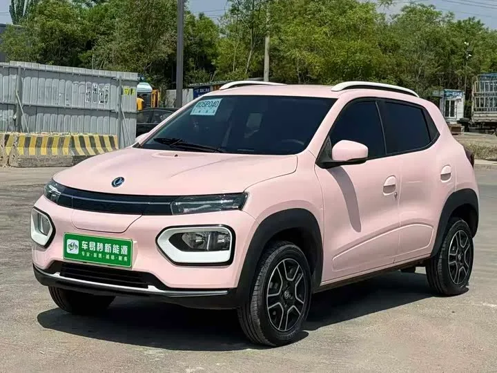 Dongfeng Yipai Nano Box 2024 из Китая — купить под ключ