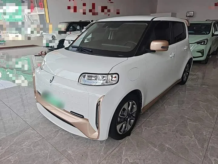 Ora White Cat 2022 из Китая — купить под ключ