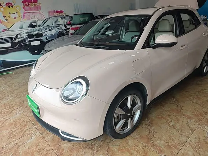 Ora Good Cat GT (03 GT) 2023 из Китая — купить под ключ