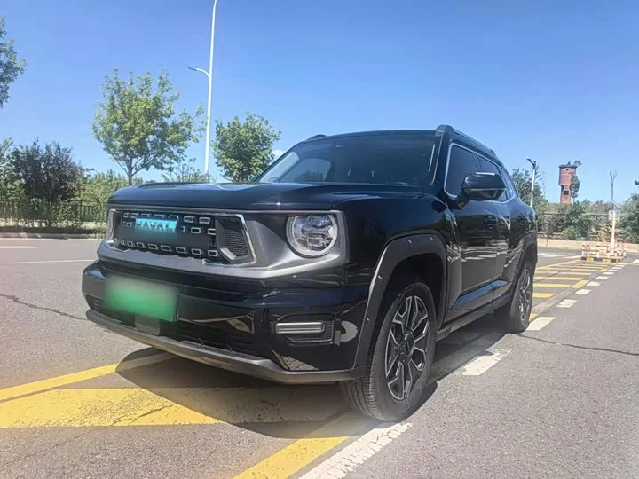 Haval H-Dog Hybrid 2023 из Китая — купить под ключ