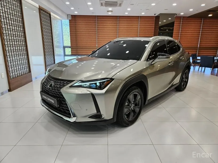 Lexus UX 2025 из Кореи — купить под ключ