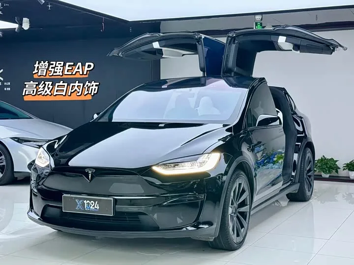 Tesla Model X 2023 из Китая — купить под ключ