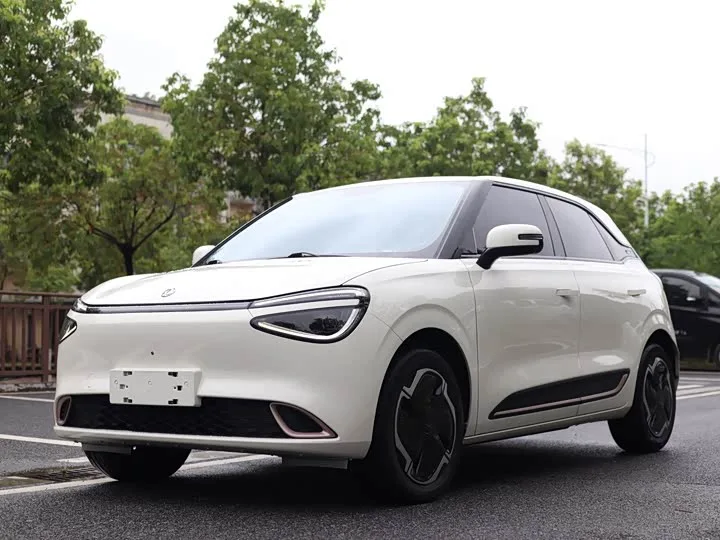 Dongfeng Yipai Nano 01 2024 из Китая — купить под ключ