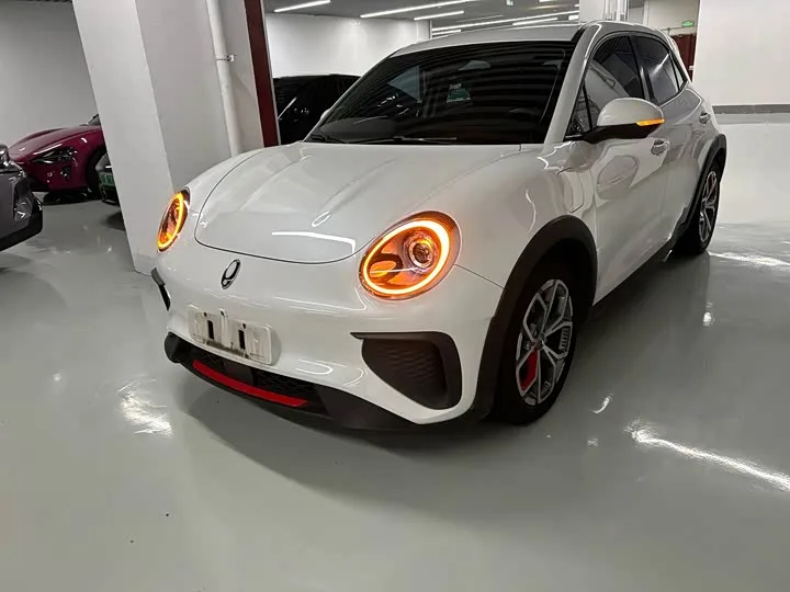 Ora Good Cat GT (03 GT) 2024 из Китая — купить под ключ