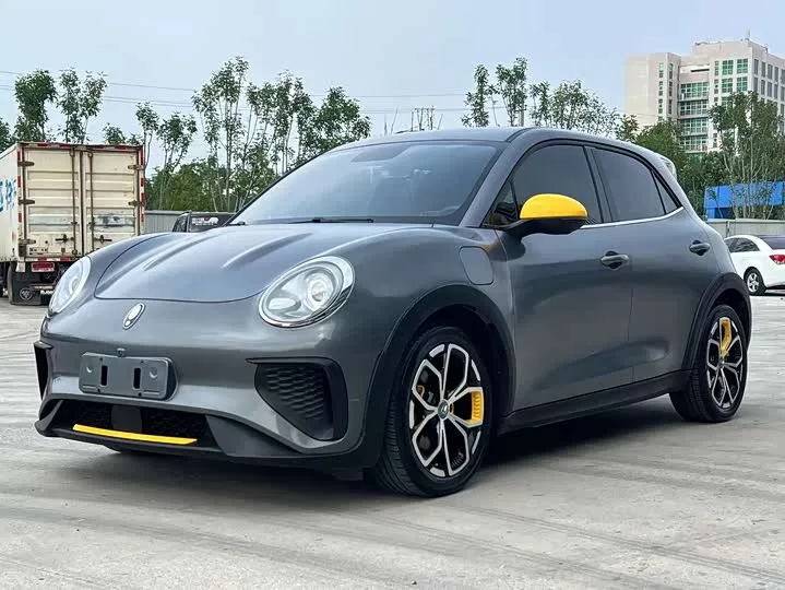 Ora Good Cat GT (03 GT) 2023 из Китая — купить под ключ