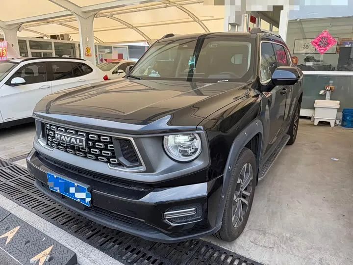 Haval H-Dog 2023 из Китая — купить под ключ