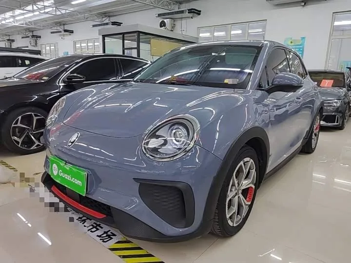 Ora Good Cat GT (03 GT) 2022 из Китая — купить под ключ