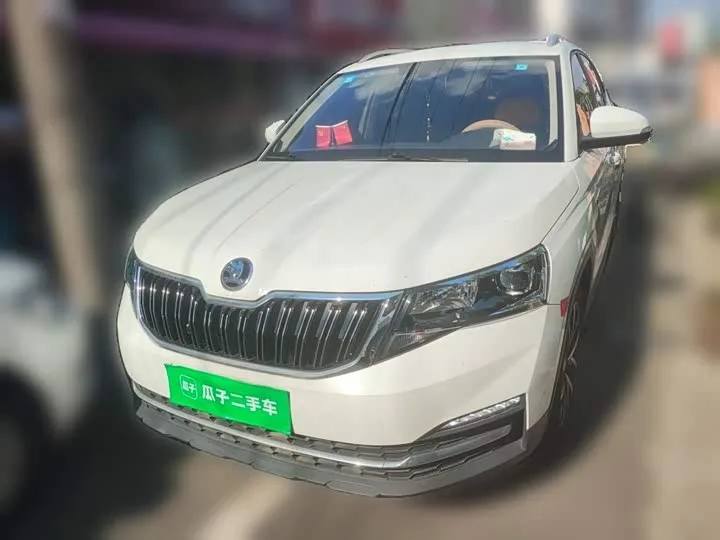 Skoda Kamiq 2023 из Китая — купить под ключ