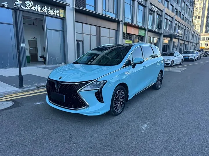 Dongfeng Forthing Yacht 2023 из Китая — купить под ключ