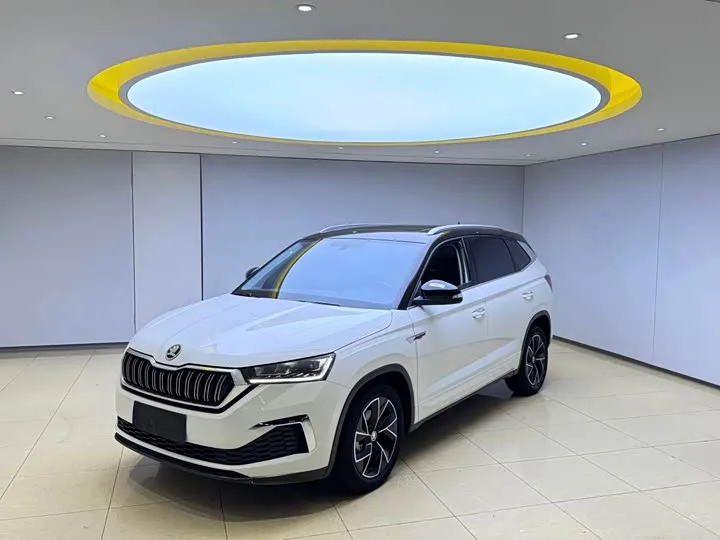 Skoda Kamiq 2023 из Китая — купить под ключ