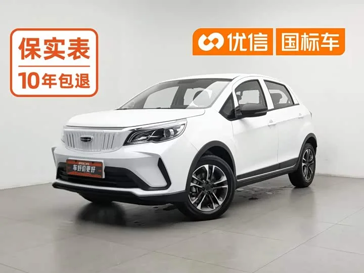 Geely Geometry EX3 2021 из Китая — купить под ключ