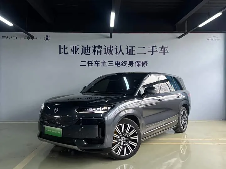 Denza N9 2025 из Китая — купить под ключ