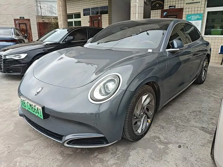 Ora Lightning Cat (07) 2022 из Китая — купить под ключ
