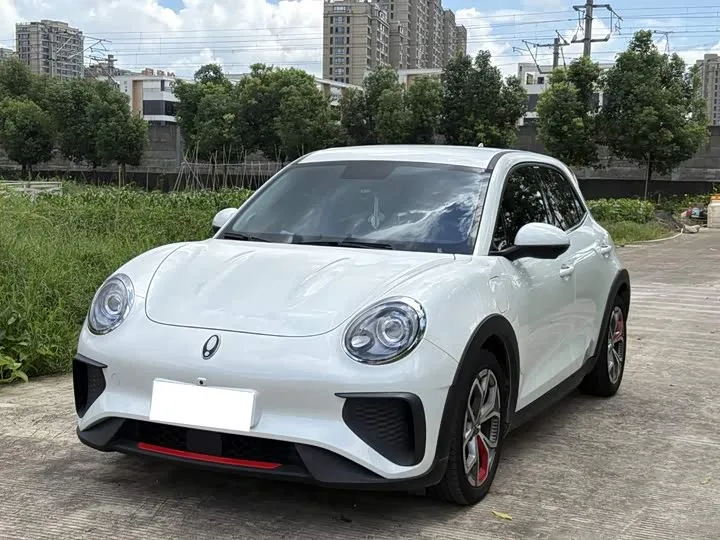 Ora Good Cat GT (03 GT) 2024 из Китая — купить под ключ