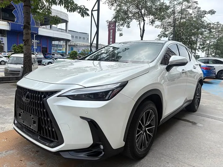 Lexus NX 2023 из Китая — купить под ключ