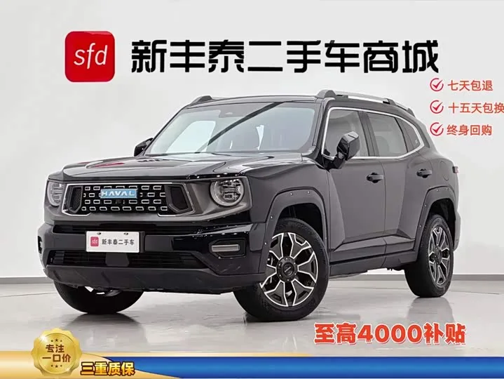 Haval H-Dog Hybrid 2023 из Китая — купить под ключ