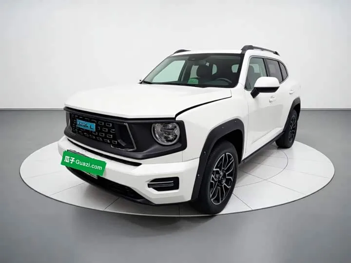 Haval H-Dog Hybrid 2024 из Китая — купить под ключ