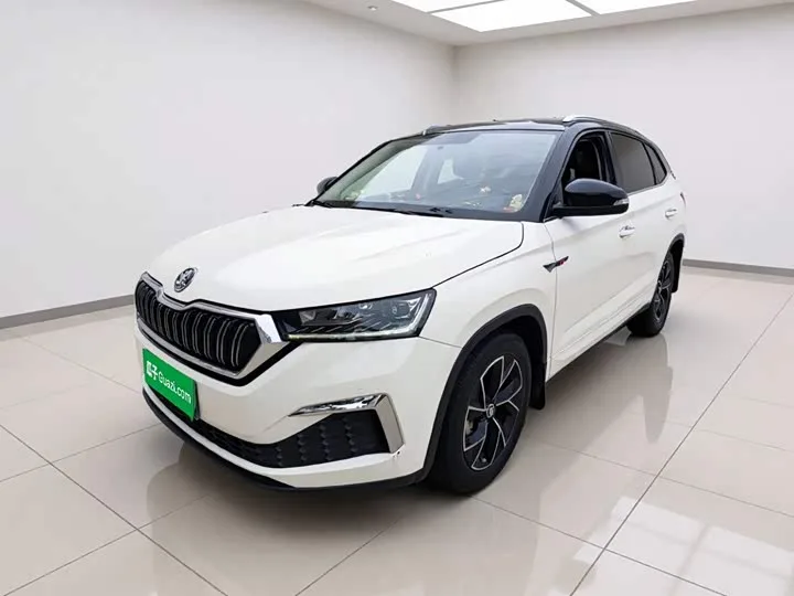 Skoda Kamiq 2022 из Китая — купить под ключ