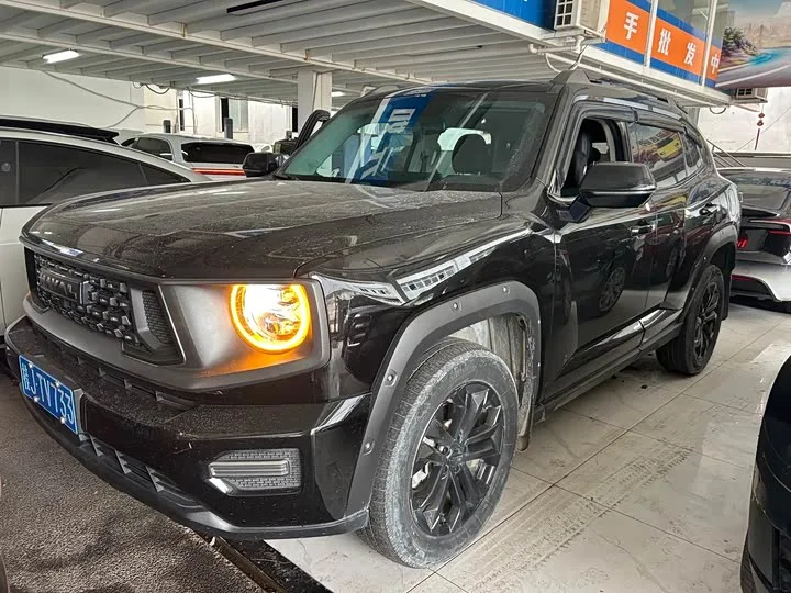 Haval H-Dog 2023 из Китая — купить под ключ
