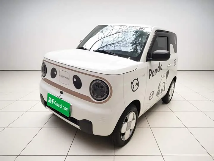 Geely Galaxy Panda Mini 2024 из Китая — купить под ключ