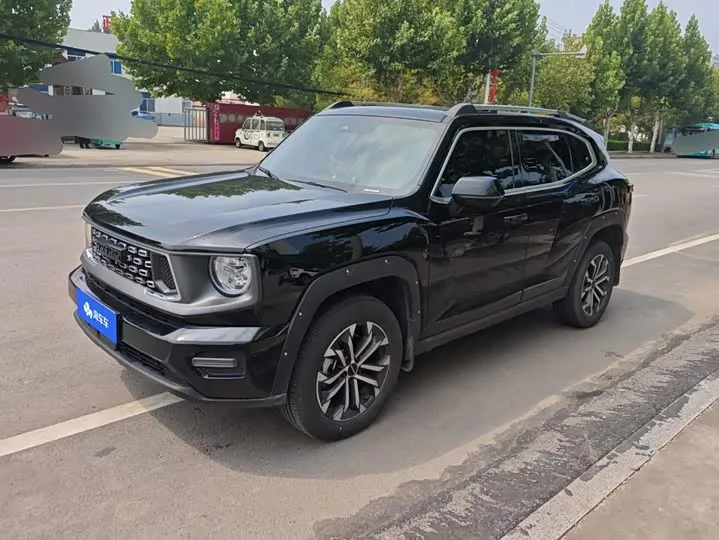 Haval H-Dog 2024 из Китая — купить под ключ