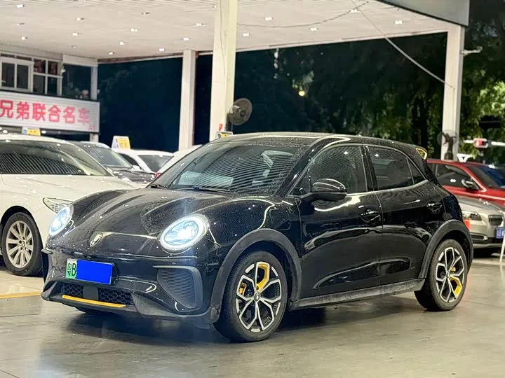 Ora Good Cat GT (03 GT) 2024 из Китая — купить под ключ