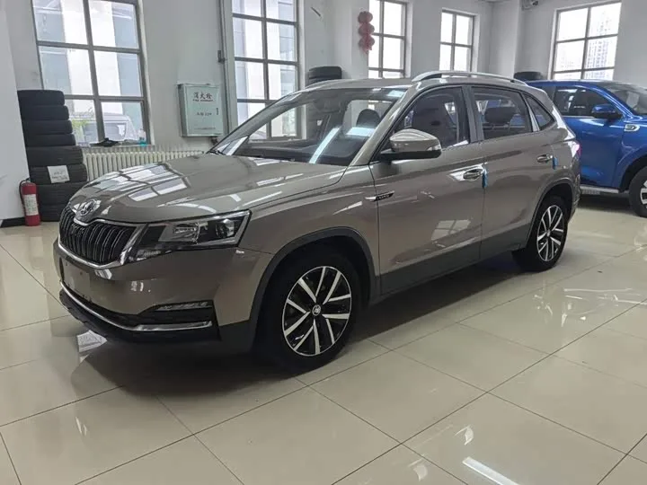 Skoda Kamiq 2022 из Китая — купить под ключ