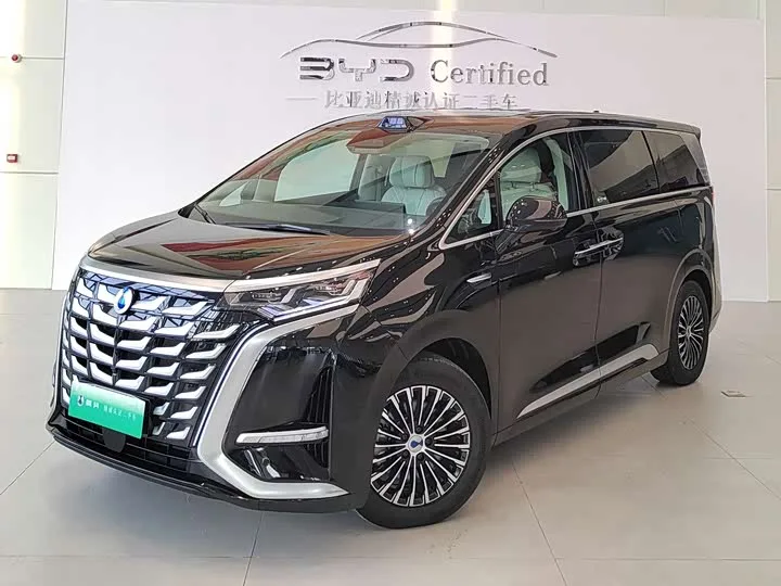 Denza D9 2025 из Китая — купить под ключ