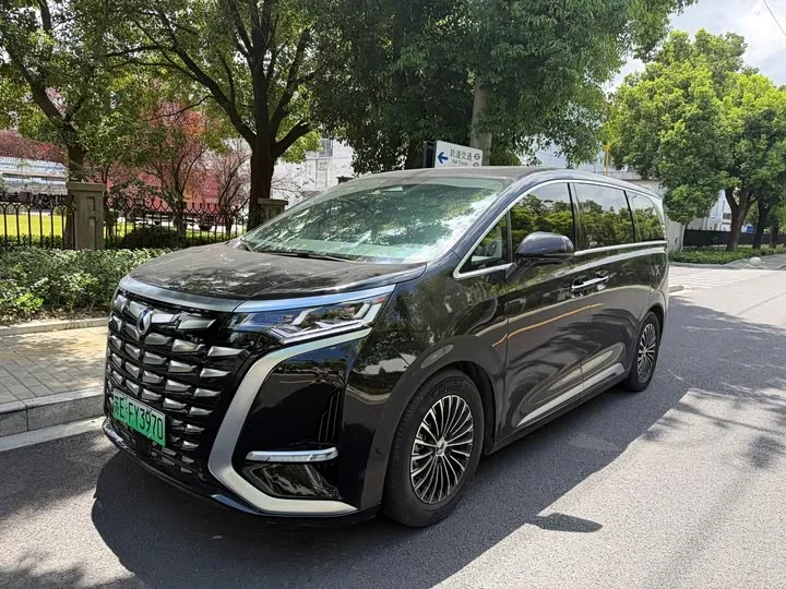 Denza D9 2024 из Китая — купить под ключ