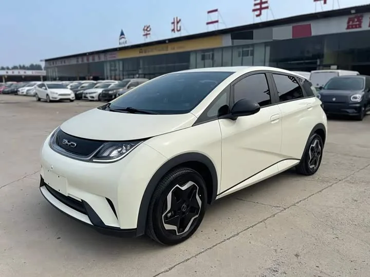 BYD Dolphin 2022 из Китая — купить под ключ
