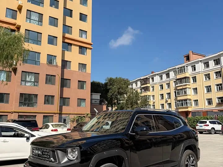 Haval H-Dog 2025 из Китая — купить под ключ