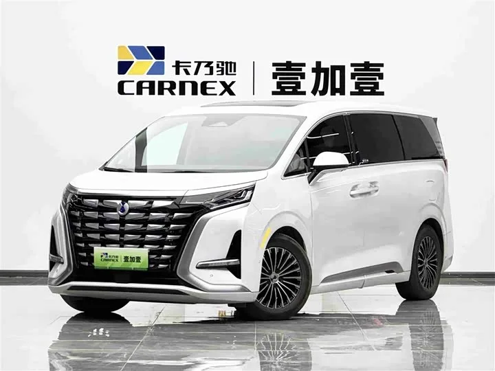 Denza D9 2024 из Китая — купить под ключ