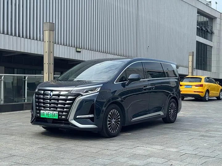 Denza D9 2024 из Китая — купить под ключ