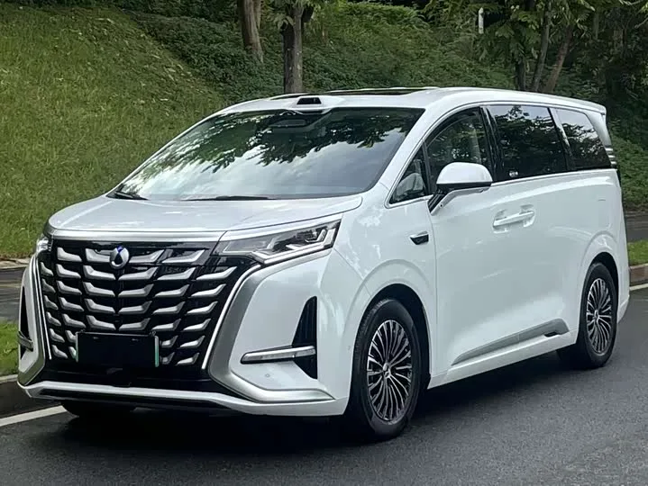 Denza D9 2025 из Китая — купить под ключ