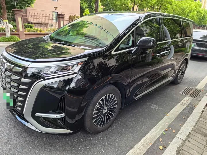 Denza D9 2024 из Китая — купить под ключ