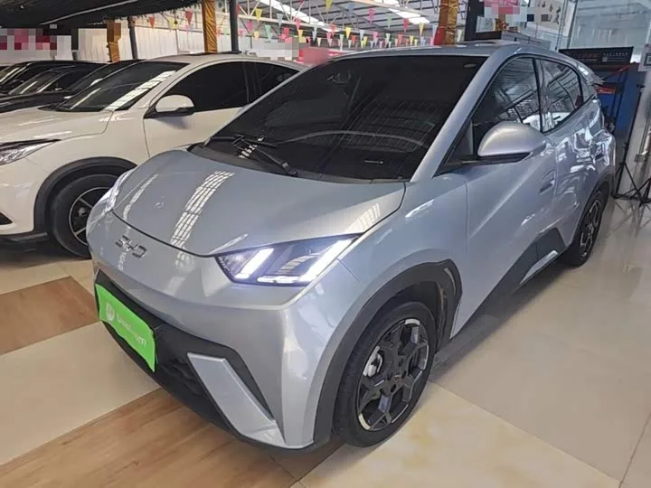 BYD Seagull 2024 из Китая — купить под ключ