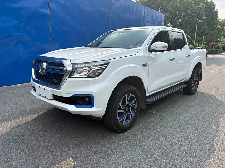 Dongfeng Rich 6 EV 2023 из Китая — купить под ключ