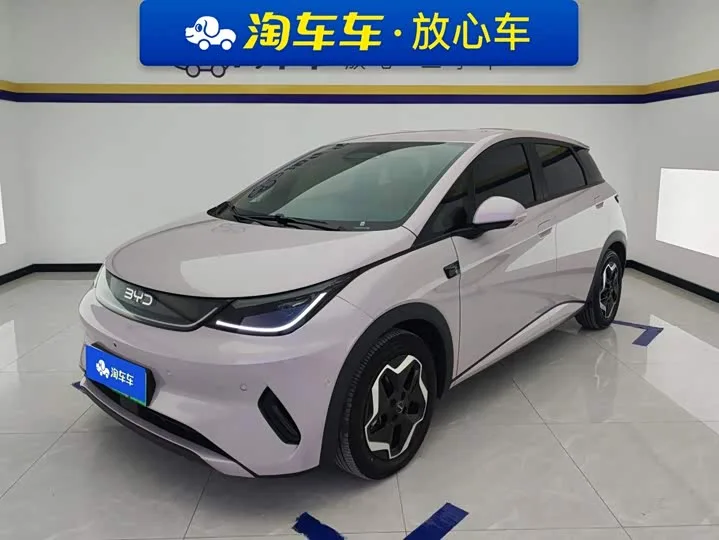 BYD Dolphin 2025 из Китая — купить под ключ