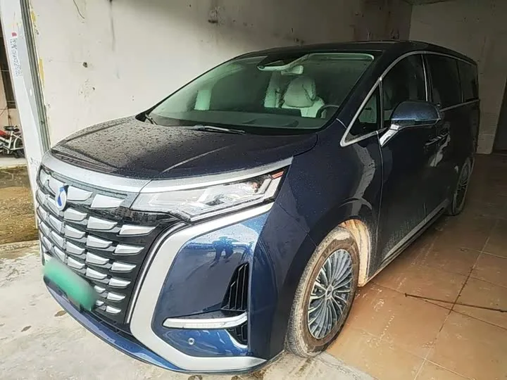Denza D9 2024 из Китая — купить под ключ