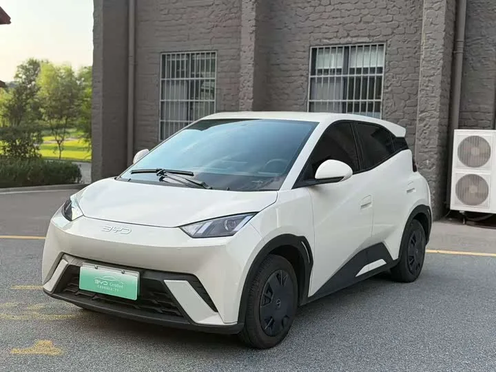 BYD Seagull 2024 из Китая — купить под ключ