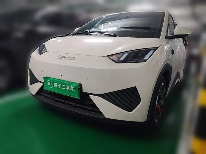 BYD Seagull 2025 из Китая — купить под ключ