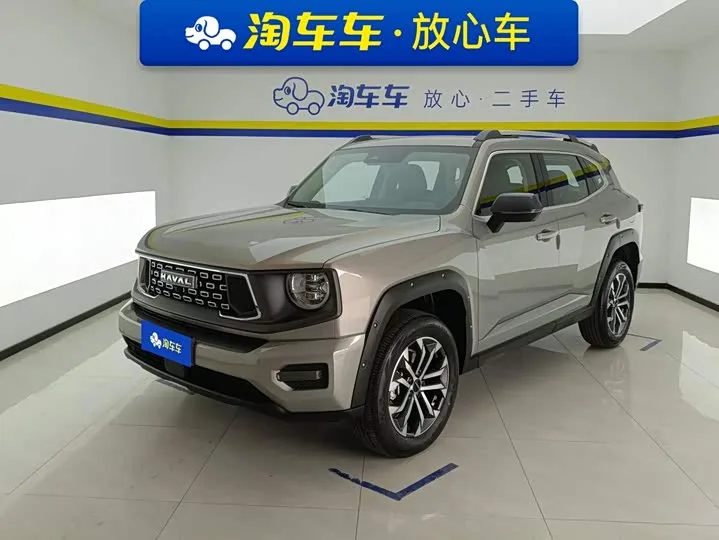 Haval H-Dog 2025 из Китая — купить под ключ