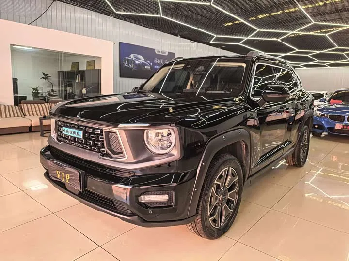 Haval H-Dog Hybrid 2024 из Китая — купить под ключ