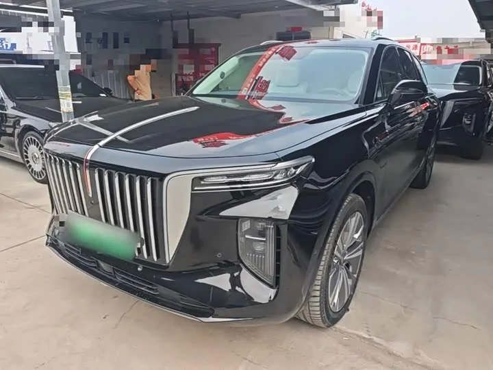 Hongqi E-HS9 2023 из Китая — купить под ключ